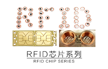 Inlay/chip