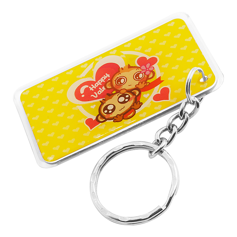 DJ11 RFID Epoxy Key fob Waterproof NFC key chain key holder